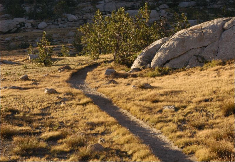 2008-08-14-05-51-00.jpg