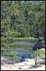 2010-08-13-15-06-23.NEF