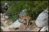 2010-08-14-13-44-05.NEF